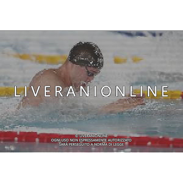 RICCIONE 30/11/2018 - Campionato Italiano Open di Nuoto in vasca corta nella foto: fabio scozzoli ©Claudio Zamagni/Agenzia Aldo Liverani / AGENZIA ALDO LIVERANI SAS