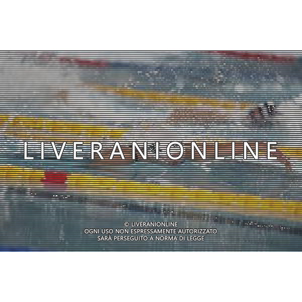 RICCIONE 30/11/2018 - Campionato Italiano Open di Nuoto in vasca corta nella foto: Federica Pellegrini ©Claudio Zamagni/Agenzia Aldo Liverani / AGENZIA ALDO LIVERANI SAS