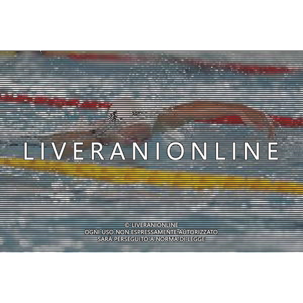 RICCIONE 30/11/2018 - Campionato Italiano Open di Nuoto in vasca corta nella foto: Federica Pellegrini ©Claudio Zamagni/Agenzia Aldo Liverani / AGENZIA ALDO LIVERANI SAS