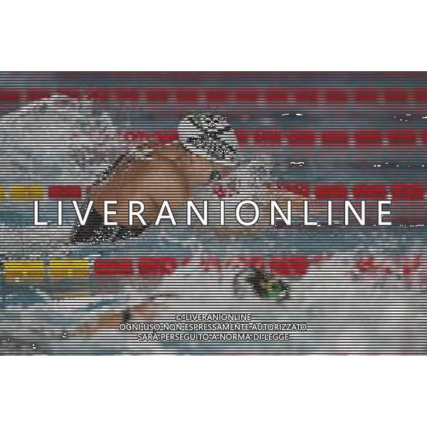 RICCIONE 30/11/2018 - Campionato Italiano Open di Nuoto in vasca corta nella foto: Martina Carraro ©Claudio Zamagni/Agenzia Aldo Liverani / AGENZIA ALDO LIVERANI SAS