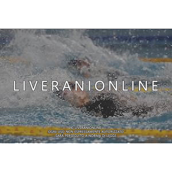 RICCIONE 30/11/2018 - Campionato Italiano Open di Nuoto in vasca corta nella foto: Carlotta Zofkova Costa de Saint ©Claudio Zamagni/Agenzia Aldo Liverani / AGENZIA ALDO LIVERANI SAS