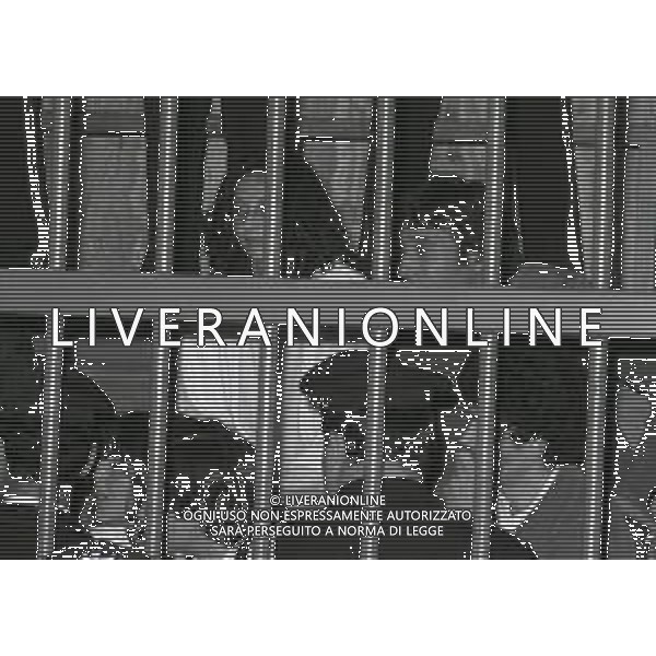 1980 MILANO-PROCESSO CORRADO ALUNNI TERRORISTA NELLA FOTO CORRADO ALUNNI AG ALDO LIVERANI SAS