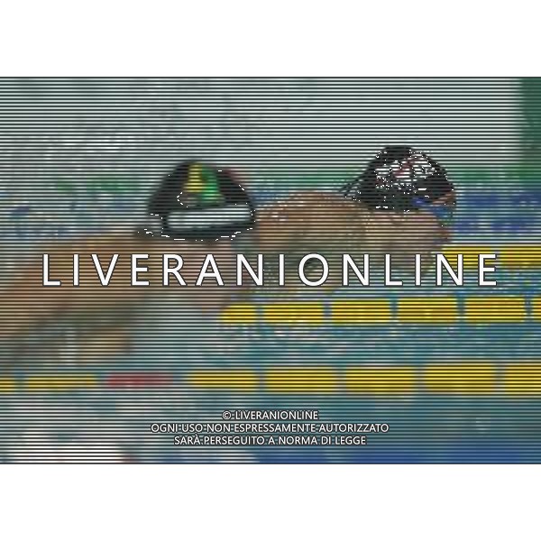 Campionato Italiano Open di nuoto vasca corta 25m Riccione (RN) - 30.11.2018 Nella Foto:Burdisso Federico /Ph.Vitez-Ag. Aldo Liverani