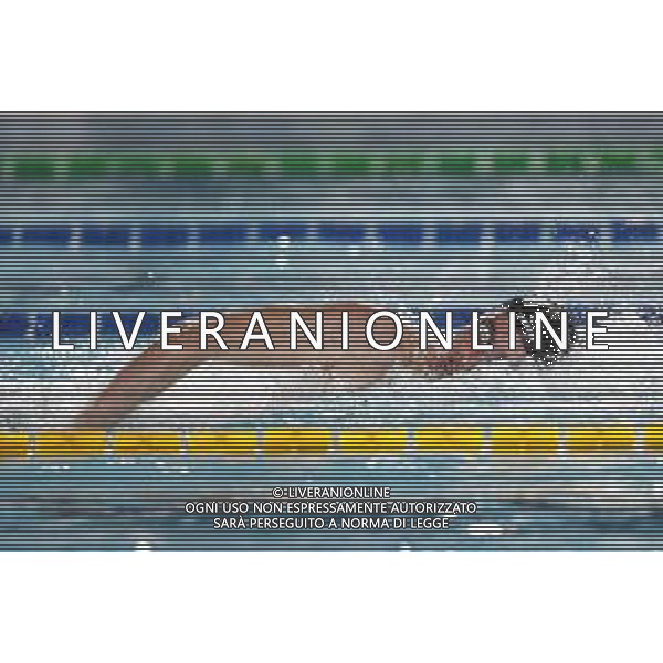 RICCIONE 30/11/2018 - Campionato Italiano Open di Nuoto in vasca corta nella foto: Matteo Senor ©Claudio Zamagni/Agenzia Aldo Liverani / AGENZIA ALDO LIVERANI SAS