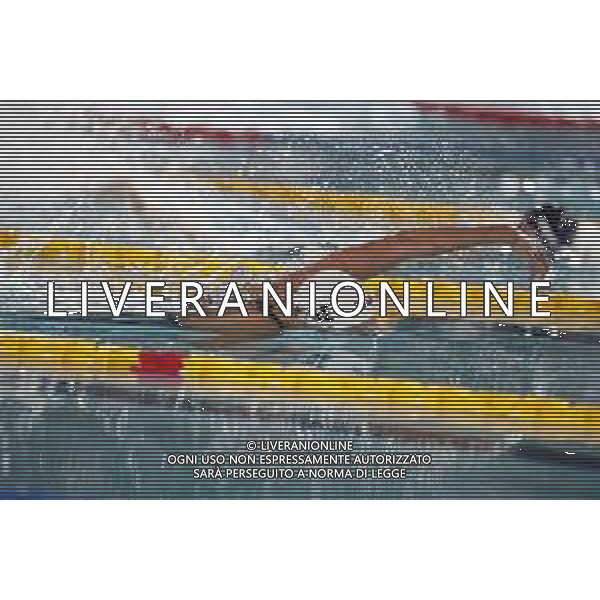 RICCIONE 30/11/2018 - Campionato Italiano Open di Nuoto in vasca corta nella foto: federica pellegrini ©Claudio Zamagni/Agenzia Aldo Liverani / AGENZIA ALDO LIVERANI SAS