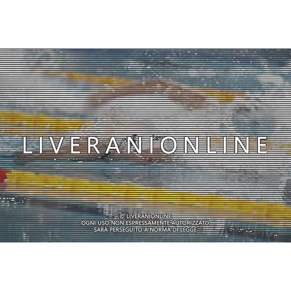 RICCIONE 30/11/2018 - Campionato Italiano Open di Nuoto in vasca corta nella foto: federica pellegrini ©Claudio Zamagni/Agenzia Aldo Liverani / AGENZIA ALDO LIVERANI SAS