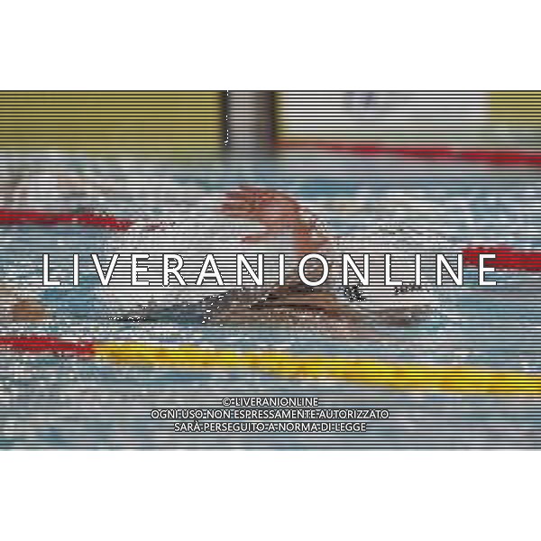 RICCIONE 30/11/2018 - Campionato Italiano Open di Nuoto in vasca corta nella foto: federica pellegrini ©Claudio Zamagni/Agenzia Aldo Liverani / AGENZIA ALDO LIVERANI SAS