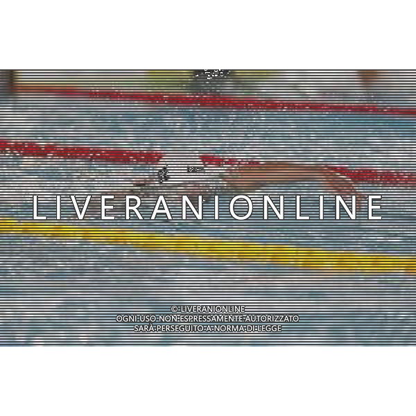 RICCIONE 30/11/2018 - Campionato Italiano Open di Nuoto in vasca corta nella foto: federica pellegrini ©Claudio Zamagni/Agenzia Aldo Liverani / AGENZIA ALDO LIVERANI SAS