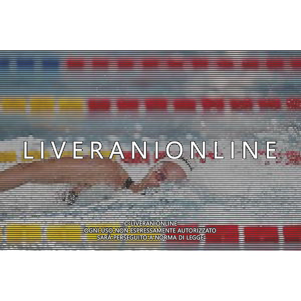 RICCIONE 30/11/2018 - Campionato Italiano Open di Nuoto in vasca corta nella foto: federica pellegrini ©Claudio Zamagni/Agenzia Aldo Liverani / AGENZIA ALDO LIVERANI SAS