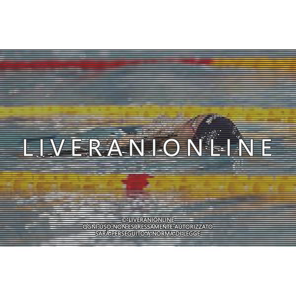 RICCIONE 30/11/2018 - Campionato Italiano Open di Nuoto in vasca corta nella foto: carlotta Zofkova Costa de Saint ©Claudio Zamagni/Agenzia Aldo Liverani / AGENZIA ALDO LIVERANI SAS