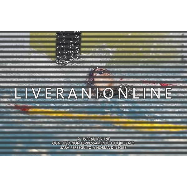 RICCIONE 30/11/2018 - Campionato Italiano Open di Nuoto in vasca corta nella foto: Zofkova Costa de Saint carlotta ©Claudio Zamagni/Agenzia Aldo Liverani / AGENZIA ALDO LIVERANI SAS