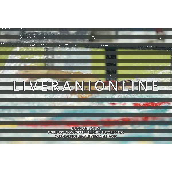 Campionato Italiano Open di nuoto vasca corta 25m Riccione (RN) - 01.12.2018 Nella Foto:Ciampi Matteo /Ph.Vitez-Ag. Aldo Liverani