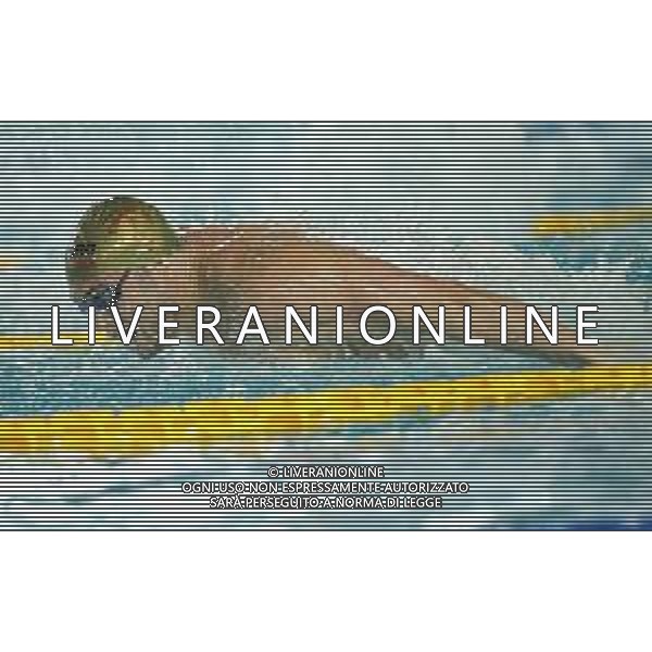 Campionato Italiano Open di nuoto vasca corta 25m Riccione (RN) - 01.12.2018 Nella Foto:Rivolta Matteo /Ph.Vitez-Ag. Aldo Liverani