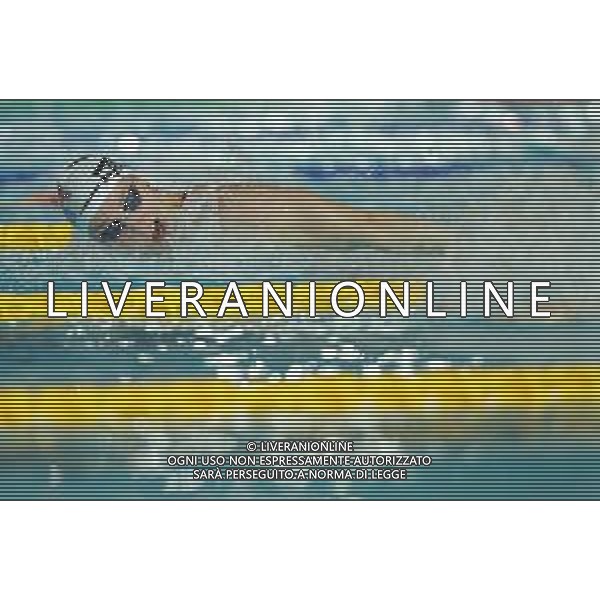 Campionato Italiano Open di nuoto vasca corta 25m Riccione (RN) - 01.12.2018 Nella Foto:Bianchi Ilaria /Ph.Vitez-Ag. Aldo Liverani