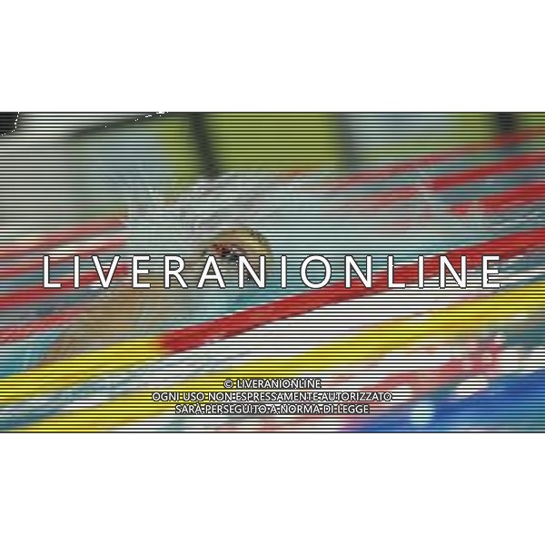 Campionato Italiano Open di nuoto vasca corta 25m Riccione (RN) - 01.12.2018 Nella Foto:Paltrinieri Gregorio /Ph.Vitez-Ag. Aldo Liverani