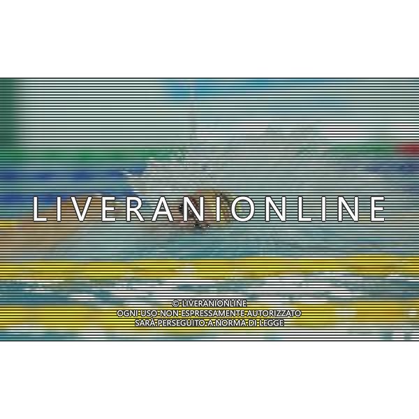 Campionato Italiano Open di nuoto vasca corta 25m Riccione (RN) - 01.12.2018 Nella Foto:Paltrinieri Gregorio /Ph.Vitez-Ag. Aldo Liverani