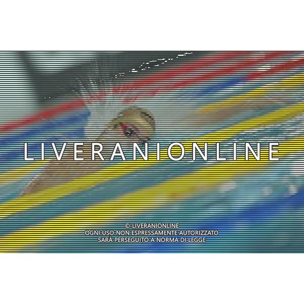 Campionato Italiano Open di nuoto vasca corta 25m Riccione (RN) - 01.12.2018 Nella Foto:Paltrinieri Gregorio /Ph.Vitez-Ag. Aldo Liverani