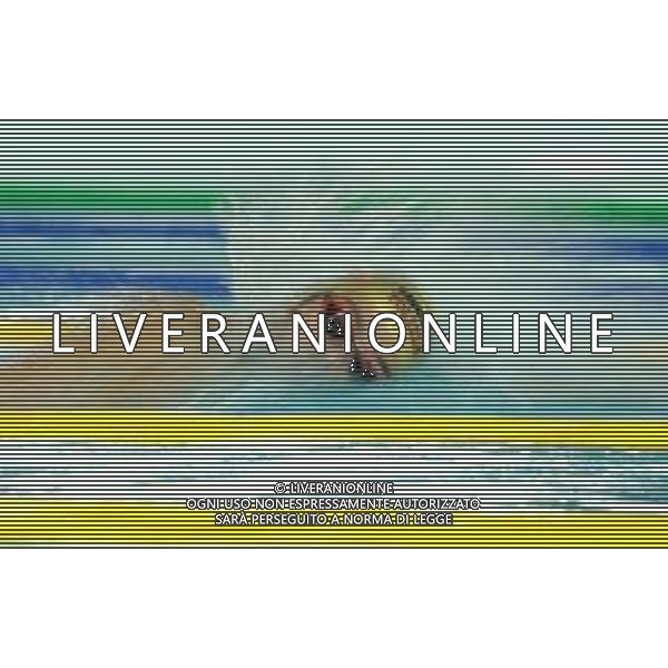 Campionato Italiano Open di nuoto vasca corta 25m Riccione (RN) - 01.12.2018 Nella Foto:Paltrinieri Gregorio /Ph.Vitez-Ag. Aldo Liverani