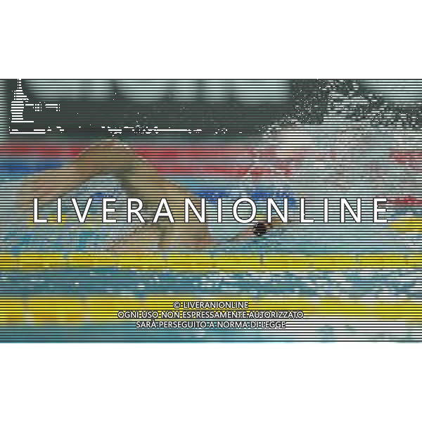 Campionato Italiano Open di nuoto vasca corta 25m Riccione (RN) - 01.12.2018 Nella Foto:Paltrinieri Gregorio /Ph.Vitez-Ag. Aldo Liverani