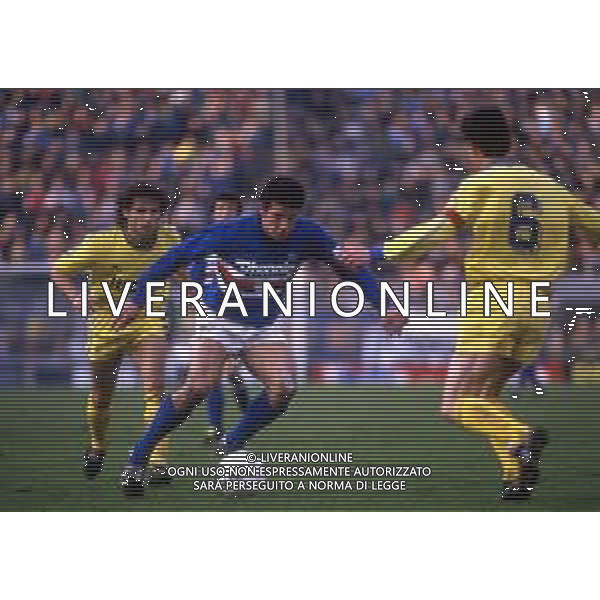 GIANLUCA VIALLI , calciatore italiano - RETROSPETTIVA nella foto con la maglia della Sampdoria nel 1986/1987 ©ARCHIVIO / AGENZIA ALDO LIVERANI SAS