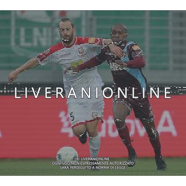 Campionato di Calcio Serie B BKT 2018/2019 16a Giornata Carpi (MO) - 16.12.2018 Carpi-Salernitana Nella Foto:akpa akpro pezzi /Ph.Vitez-Ag. Aldo Liverani