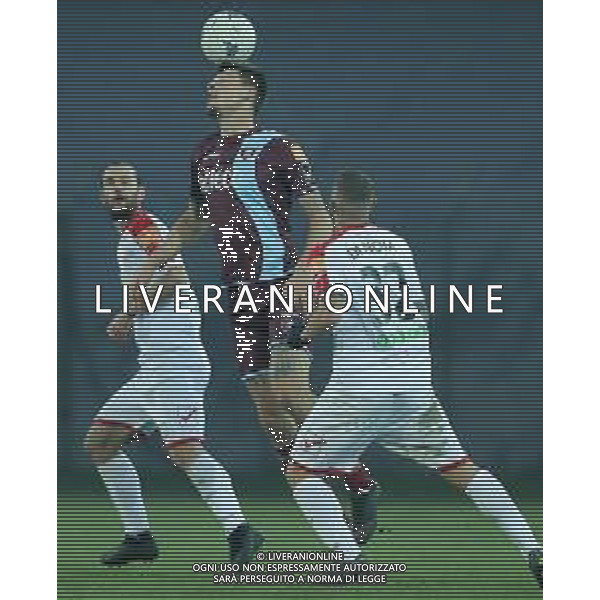 Campionato di Calcio Serie B BKT 2018/2019 16a Giornata Carpi (MO) - 16.12.2018 Carpi-Salernitana Nella Foto:djuric /Ph.Vitez-Ag. Aldo Liverani