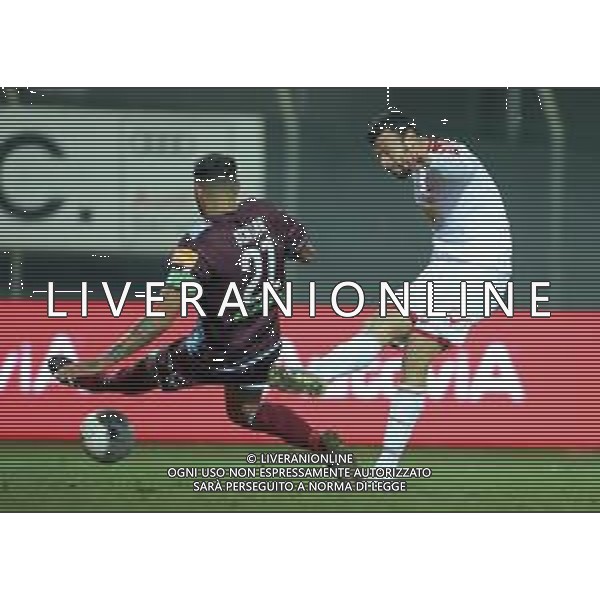 Campionato di Calcio Serie B BKT 2018/2019 16a Giornata Carpi (MO) - 16.12.2018 Carpi-Salernitana Nella Foto:vano gol /Ph.Vitez-Ag. Aldo Liverani