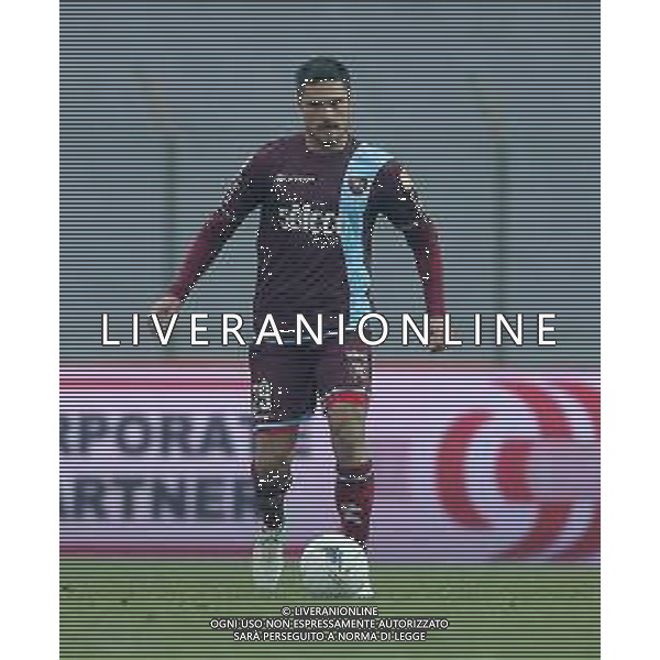 Campionato di Calcio Serie B BKT 2018/2019 16a Giornata Carpi (MO) - 16.12.2018 Carpi-Salernitana Nella Foto:Romano Perticone /Ph.Vitez-Ag. Aldo Liverani