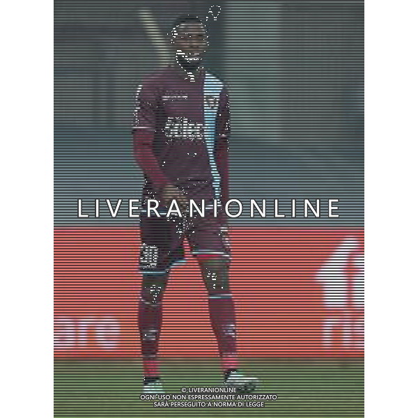 Campionato di Calcio Serie B BKT 2018/2019 16a Giornata Carpi (MO) - 16.12.2018 Carpi-Salernitana Nella Foto:Lamin Jallow /Ph.Vitez-Ag. Aldo Liverani