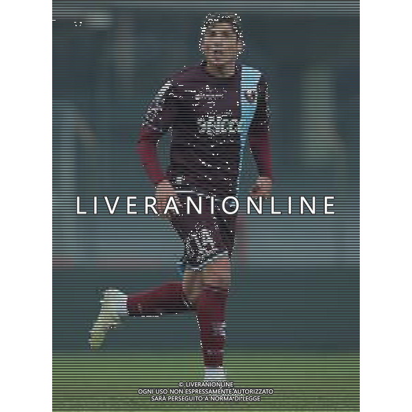 Campionato di Calcio Serie B BKT 2018/2019 16a Giornata Carpi (MO) - 16.12.2018 Carpi-Salernitana Nella Foto:Francesco Di Tacchio /Ph.Vitez-Ag. Aldo Liverani