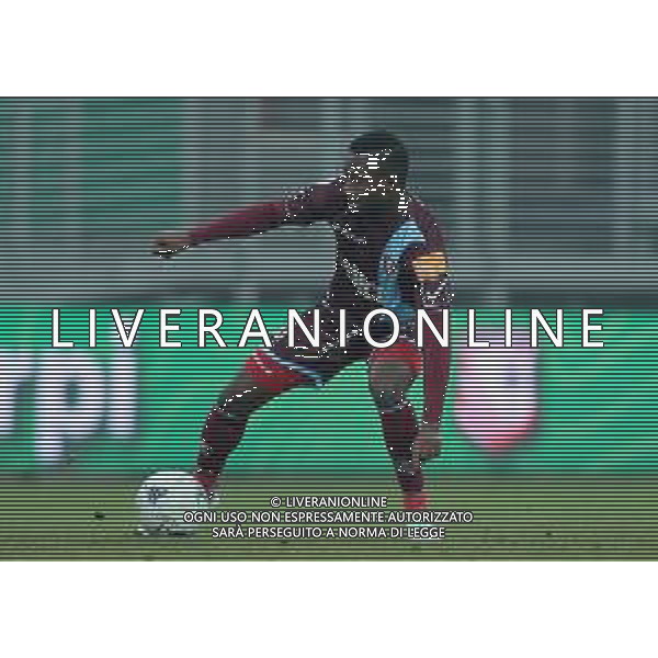 Campionato di Calcio Serie B BKT 2018/2019 16a Giornata Carpi (MO) - 16.12.2018 Carpi-Salernitana Nella Foto:Lamin Jallow /Ph.Vitez-Ag. Aldo Liverani