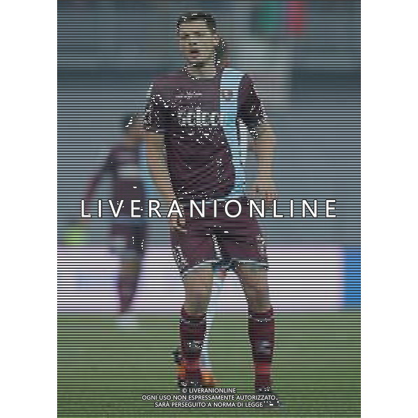 Campionato di Calcio Serie B BKT 2018/2019 16a Giornata Carpi (MO) - 16.12.2018 Carpi-Salernitana Nella Foto:Milan Djuric /Ph.Vitez-Ag. Aldo Liverani
