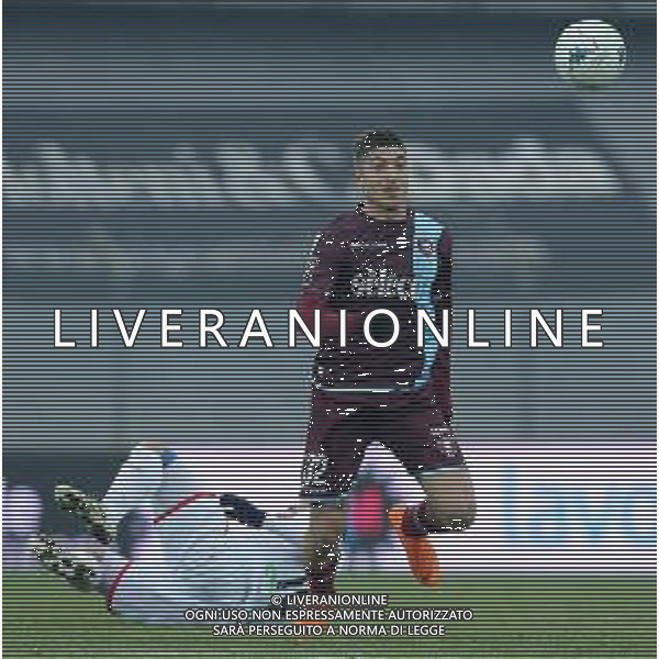 Campionato di Calcio Serie B BKT 2018/2019 16a Giornata Carpi (MO) - 16.12.2018 Carpi-Salernitana Nella Foto:Andrea Mazzarani /Ph.Vitez-Ag. Aldo Liverani