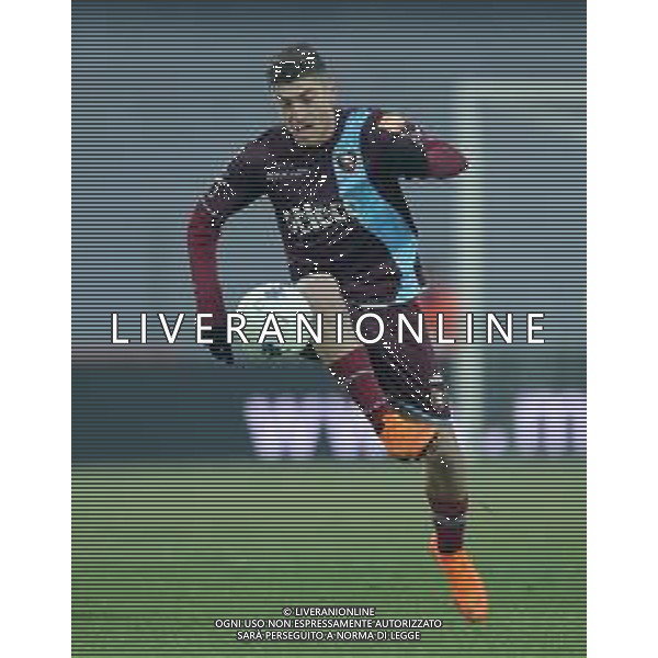 Campionato di Calcio Serie B BKT 2018/2019 16a Giornata Carpi (MO) - 16.12.2018 Carpi-Salernitana Nella Foto:Andrea Mazzarani /Ph.Vitez-Ag. Aldo Liverani