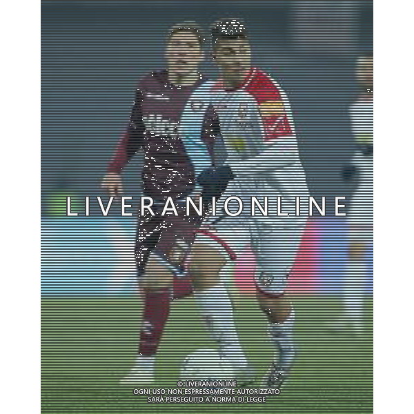 Campionato di Calcio Serie B BKT 2018/2019 16a Giornata Carpi (MO) - 16.12.2018 Carpi-Salernitana Nella Foto:Zinedine Machach /Ph.Vitez-Ag. Aldo Liverani