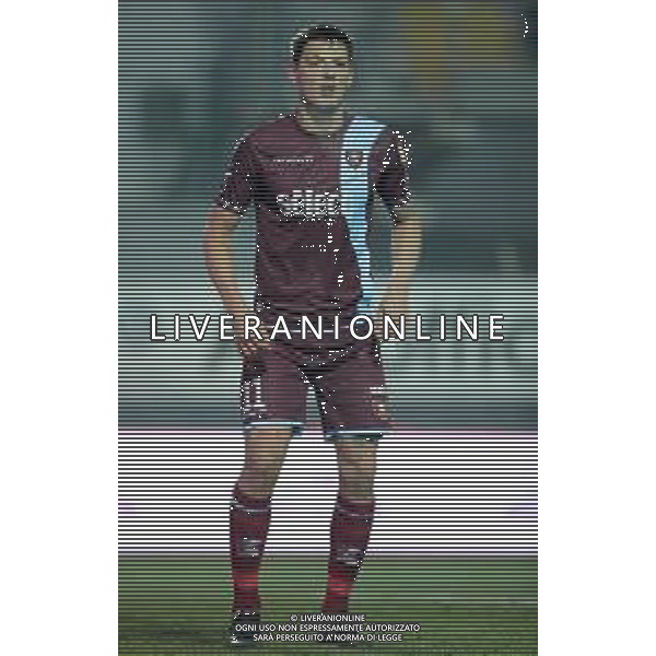 Campionato di Calcio Serie B BKT 2018/2019 16a Giornata Carpi (MO) - 16.12.2018 Carpi-Salernitana Nella Foto:Milan Djuric /Ph.Vitez-Ag. Aldo Liverani