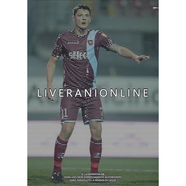 Campionato di Calcio Serie B BKT 2018/2019 16a Giornata Carpi (MO) - 16.12.2018 Carpi-Salernitana Nella Foto:Milan Djuric /Ph.Vitez-Ag. Aldo Liverani