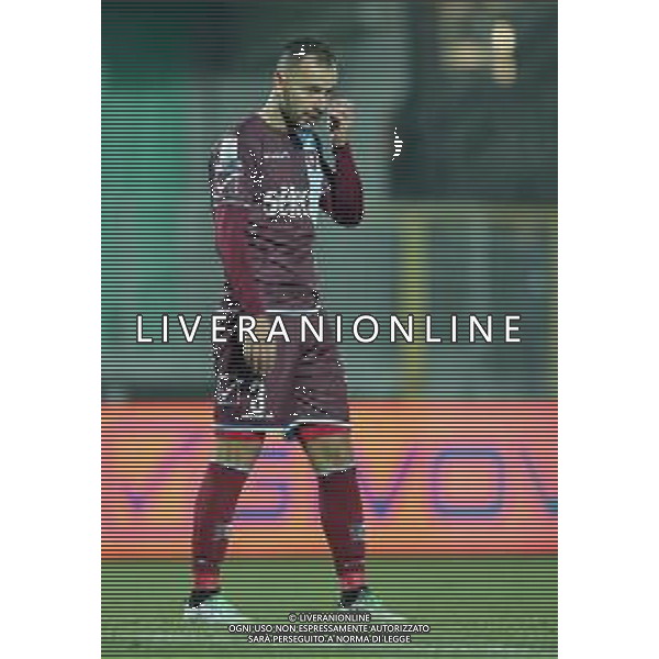 Campionato di Calcio Serie B BKT 2018/2019 16a Giornata Carpi (MO) - 16.12.2018 Carpi-Salernitana Nella Foto:Luigi Vitale /Ph.Vitez-Ag. Aldo Liverani
