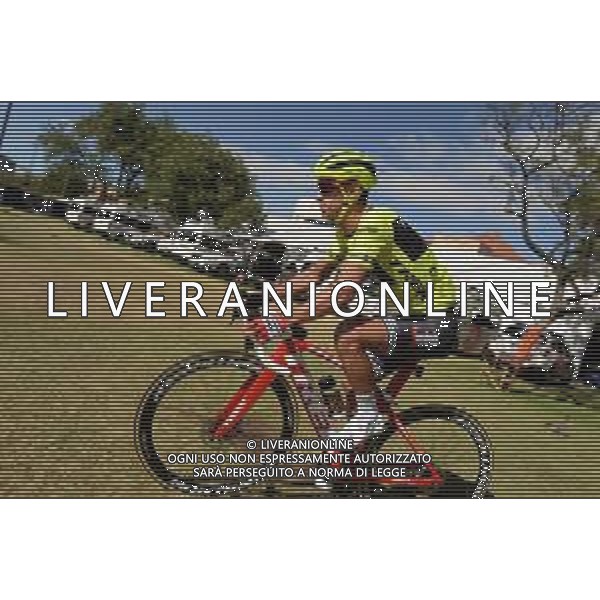 09-01-2019 Allenamento 3 Tour Down Under 2019; 2019, Trek - Segafredo; Porte, Richie; Adelaide; Australia ©SIROTTI / AGENZIA ALDO LIVERANI SAS