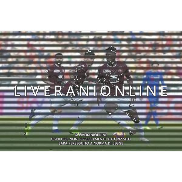 Torino - Fiorentina, Ottavi di Coppa Italia Tim Cup 13.01.2019 NELLA FOTO : SOUALIHO MEITE\' - BASELLI DANIELE © AGENZIA ALDO LIVERANI SAS