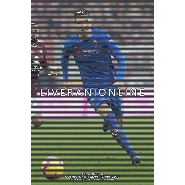 Torino - Fiorentina, Ottavi di Coppa Italia Tim Cup 13.01.2019 NELLA FOTO : NIKOLA MILENKOVIC © AGENZIA ALDO LIVERANI SAS