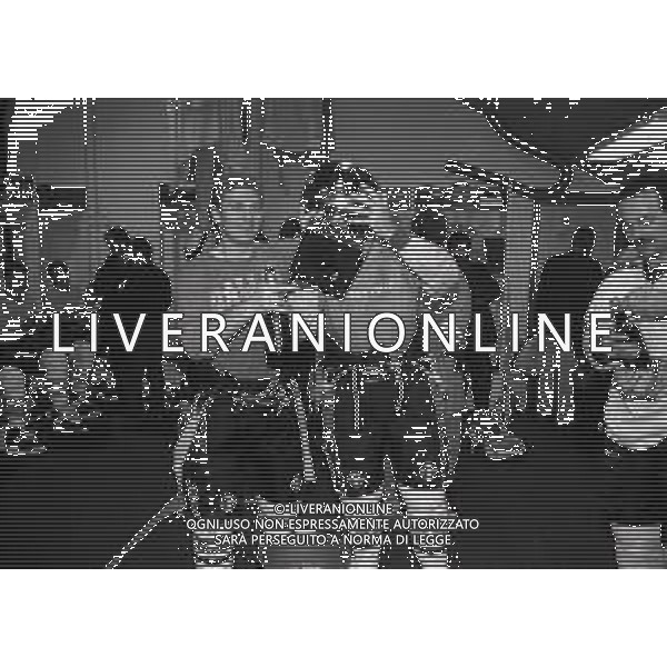 1992-1993 -CAMPIONATO DI HOCKEY SU GHIACCIO SERIE A MILANO-FINALE 5 PARTITA HOCKEY MILANO LIONS -BOLZANO NELLA FOTO I GIOCATORI DELL\'HOCKEY MILANO LION FESTEGGIANO LA VITTORIA DEL SECONDO SCUDETTO AG ALDO LIVERANI SAS