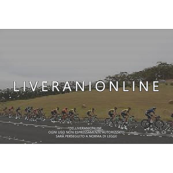 18-01-2019 Tour Down Under; Tappa 04 Unley - Campbelltown; 2019, Jumbo - Visma; FOTO STEFANO SIROTTI-AG ALDO LIVERANI SAS