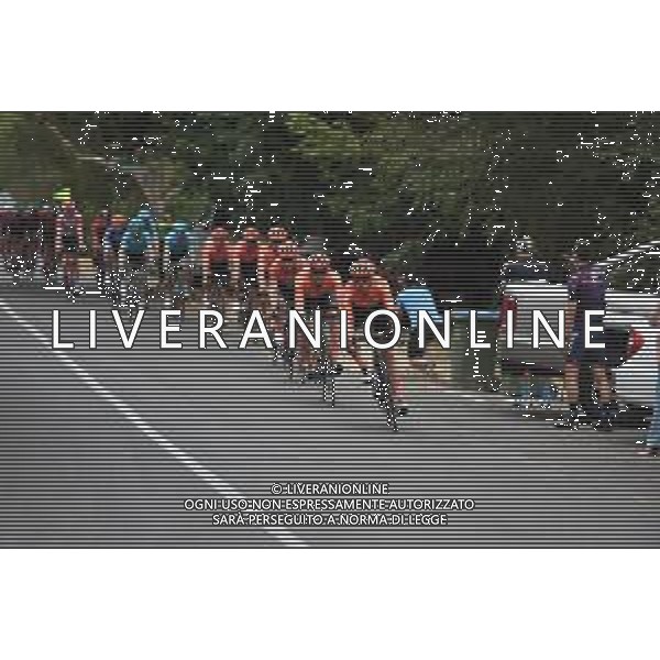 18-01-2019 Tour Down Under; Tappa 04 Unley - Campbelltown; 2019, Ccc Team; FOTO STEFANO SIROTTI-AG ALDO LIVERANI SAS
