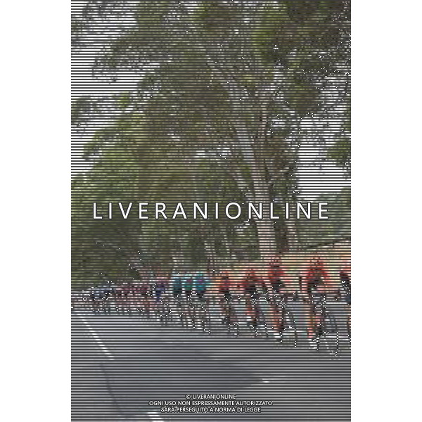 18-01-2019 Tour Down Under; Tappa 04 Unley - Campbelltown; 2019, Ccc Team; FOTO STEFANO SIROTTI-AG ALDO LIVERANI SAS