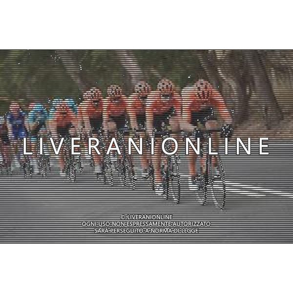 18-01-2019 Tour Down Under; Tappa 04 Unley - Campbelltown; 2019, Ccc Team; FOTO STEFANO SIROTTI-AG ALDO LIVERANI SAS