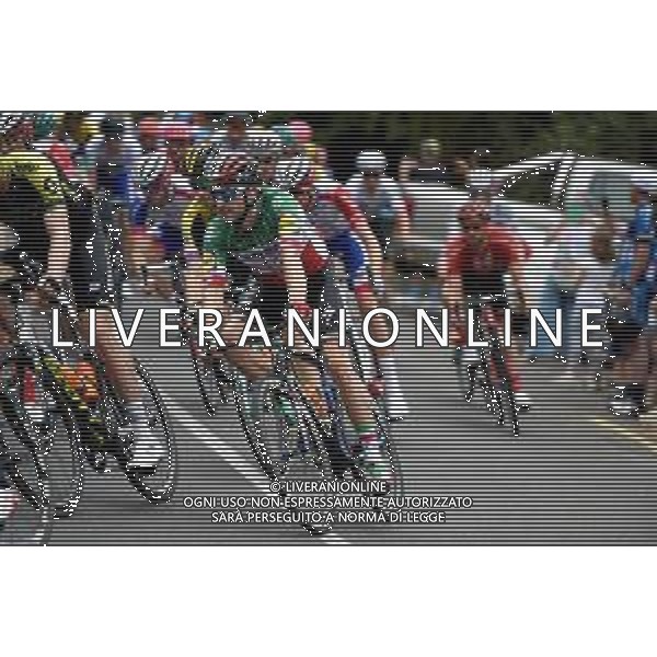 18-01-2019 Tour Down Under; Tappa 04 Unley - Campbelltown; 2019, Deceunick - Quickstep; Viviani, Elia; FOTO STEFANO SIROTTI-AG ALDO LIVERANI SAS
