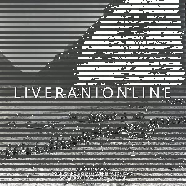 10-10-1963 LONGARONE - DISASTRO DIGA DEL VAJONT Il disastro del Vajont è stato un disastro ambientale ed umano. Si è verificato la sera del 9 ottobre 1963, nel neo-bacino idroelettrico artificiale del torrente Vajont (al confine tra Friuli e Veneto), dovuto alla caduta di una frana dal soprastante pendio del Monte Toc nelle acque del bacino alpino realizzato con l\'omonima diga; la conseguente tracimazione dell\'acqua contenuta nell\'invaso, con effetto di dilavamento delle sponde del lago, coinvolse prima Erto e Casso, paesi vicini alla riva del lago dopo la costruzione della diga, mentre il superamento della diga da parte dell\'onda generata provocò l\'inondazione e la distruzione degli abitati del fondovalle veneto, tra cui Longarone, e la morte di 1917 persone. AG ALDO LIVERANI SAS