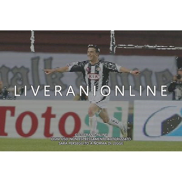 UDINE 19/05/2005 UDINESE-ROMA NELLA FOTO:ESULTANZA DI DI NATALE FOTO PAOLA GARBUIO/ALDO LIVERANI s.a.s