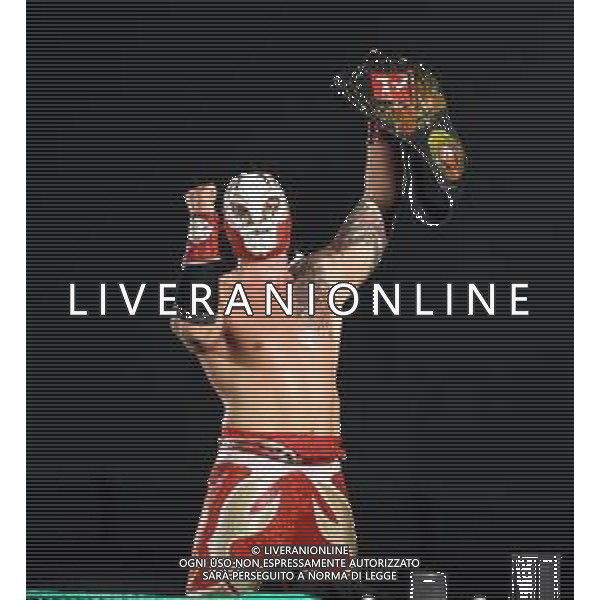 26 01 2019 IMOLA WRESTLING "LA NOTTE DEI CAMPIONI NELLA FOTO RED SCORPION FOTO GIANNI SANNA-AG ALDO LIVERANI SAS